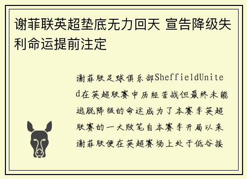 谢菲联英超垫底无力回天 宣告降级失利命运提前注定 谢菲联英超垫底无力回天 宣告降级失利命运提前注定